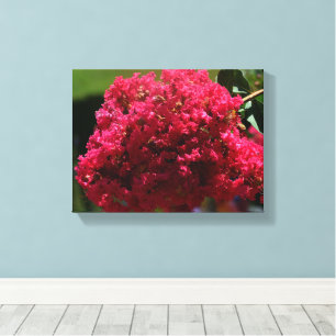 Crepe Myrtle-Blüte Leinwanddruck