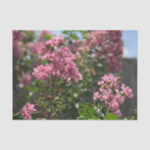 Crepe Myrtle Blütenpapier
