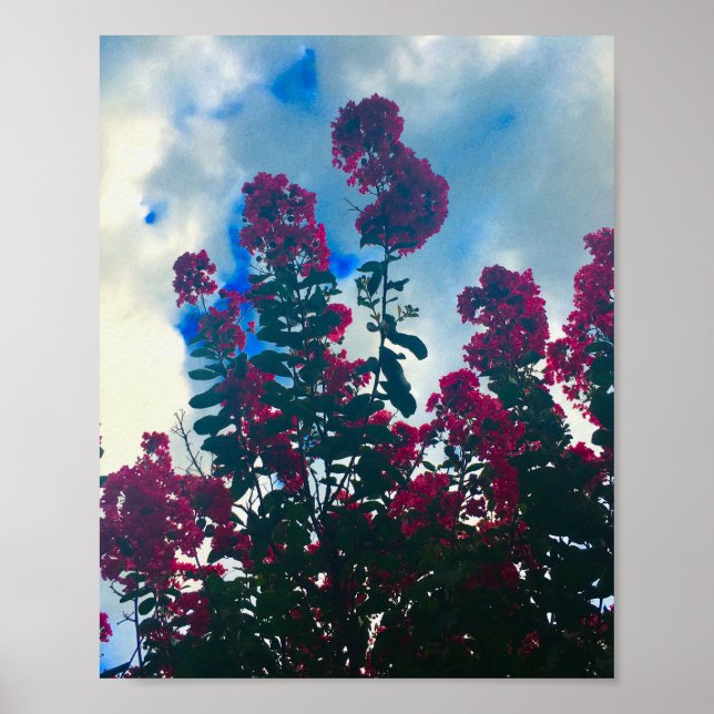 crepe myrtle on a cloudy day poster (Vorne)