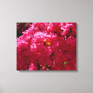 Crepe Myrtle Tree Magenta Floral Leinwanddruck