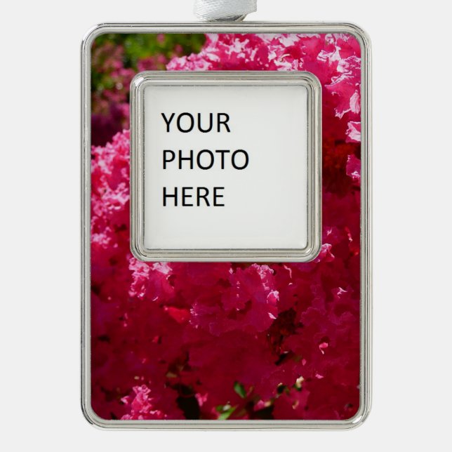 Crepe Myrtle Tree Magenta Floral Rahmen-Ornament Silber (Vorderseite)