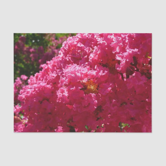 Crepe Myrtle Tree Magenta Floral Seidenpapier (Vorderseite)