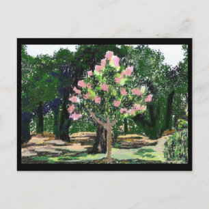 Crepe Myrtle Tree Postkarte