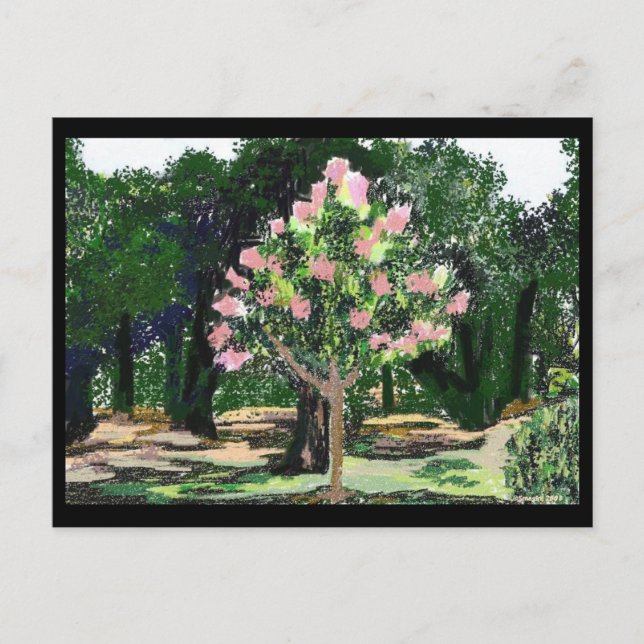 Crepe Myrtle Tree Postkarte (Vorderseite)