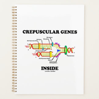 Crepuskuläre Gene im DNA-Spaß Planer