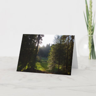 Crescent Meadow Morning on Sequoia Nationalpark Karte