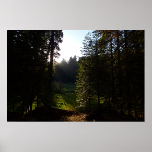 Crescent Meadow Morning on Sequoia Nationalpark Poster