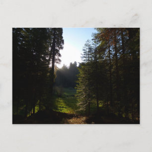 Crescent Meadow Morning Postkarte