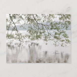 Crescent-See Olympischer Nationalpark, WA Postkarte