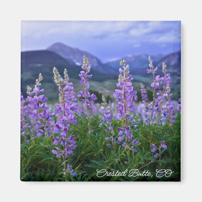 Crested Butte Magnet (Vorne)