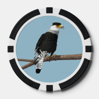 Crested Caracara Clay Poker Chip