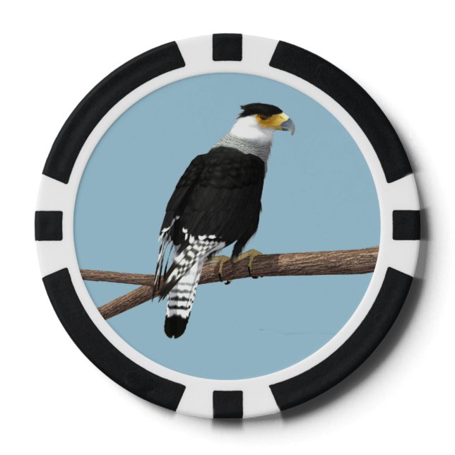 Crested Caracara Clay Poker Chip (Vorderseite)