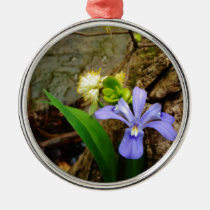 Crested Dwarf Iris blue purple white flower Ornament Aus Metall
