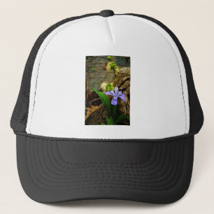Crested Dwarf Iris blue purple white flower Truckerkappe