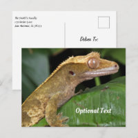 Crested Gecko auf der linken Seite