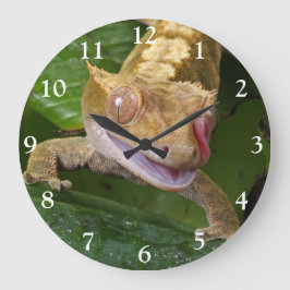 Crested Gecko Große Wanduhr