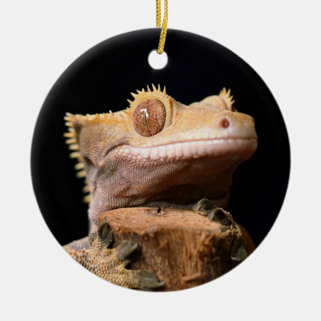 Crested Gecko Lizard auf Schwarzer Keramik Ornamen Keramik Ornament (Vorne)