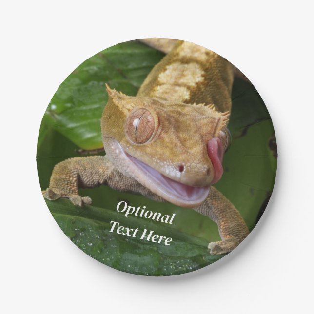 Crested Gecko Pappteller (Vorderseite)