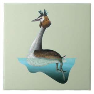 Crested Grebe Fliese