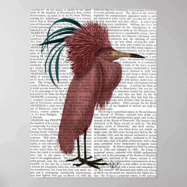 Crested Marsala Bird Poster (Vorne)