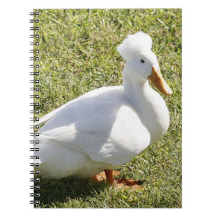 Crested Pekin Duck Spiral Foto Notebook Notizblock