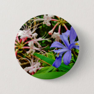 Crested Zwarf Iris Button