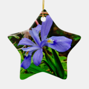 Crested Zwarf Iris Keramik Ornament