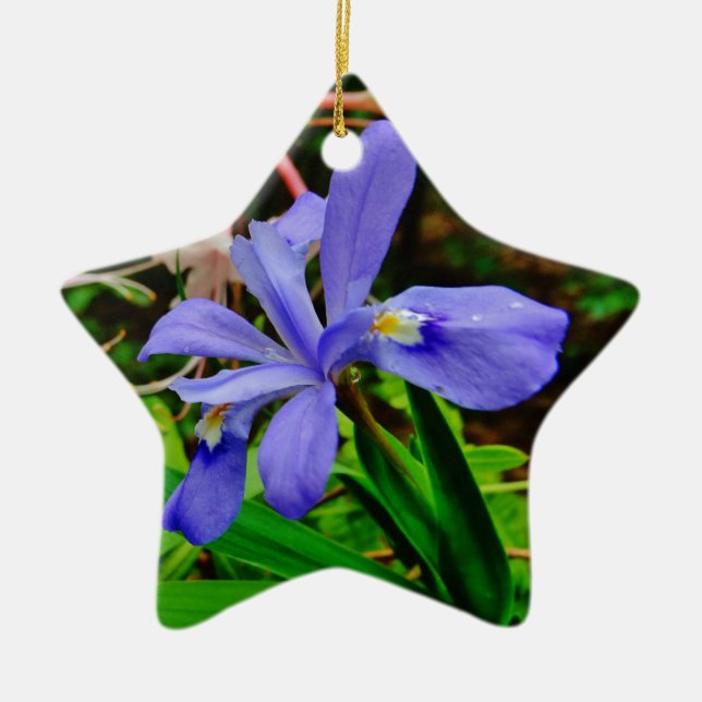 Crested Zwarf Iris Keramik Ornament (Vorne)