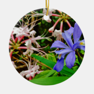 Crested Zwarf Iris Keramikornament