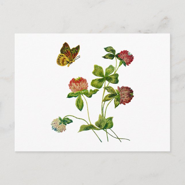 Crewel bestickte irische Klee Postkarte (Vorderseite)
