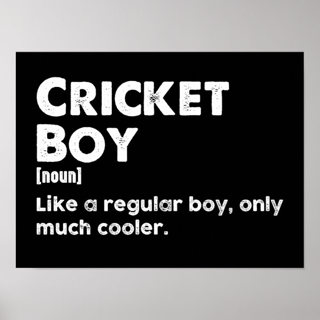 Cricket Boy Funny Definition Cricket Lover Poster (Vorne)