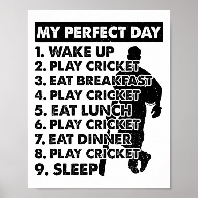 Cricket Day Plan Cricket Player  Poster (Vorne)
