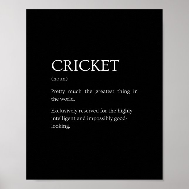 Cricket Definition - Funny Sarcastic Cricket Expla Poster (Vorne)