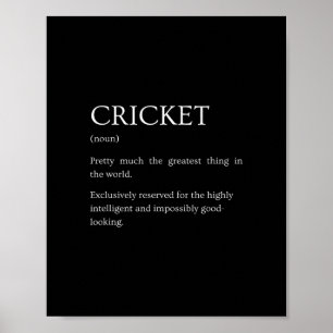 Cricket-Definition - Lustige sarkastische Cricket- Poster