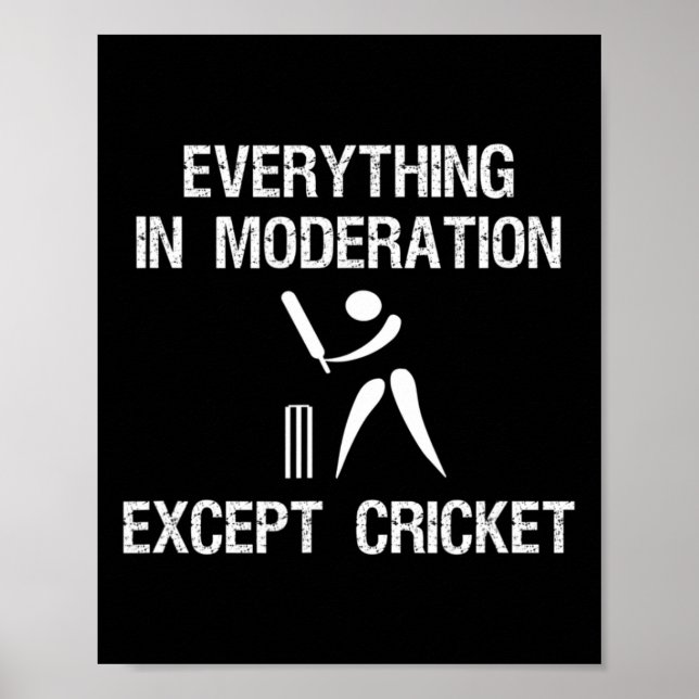 Cricket Game - Funny Moderation - Player  Poster (Vorne)