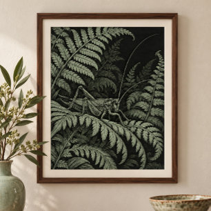 Cricket in the Ferns Kunstprint Poster