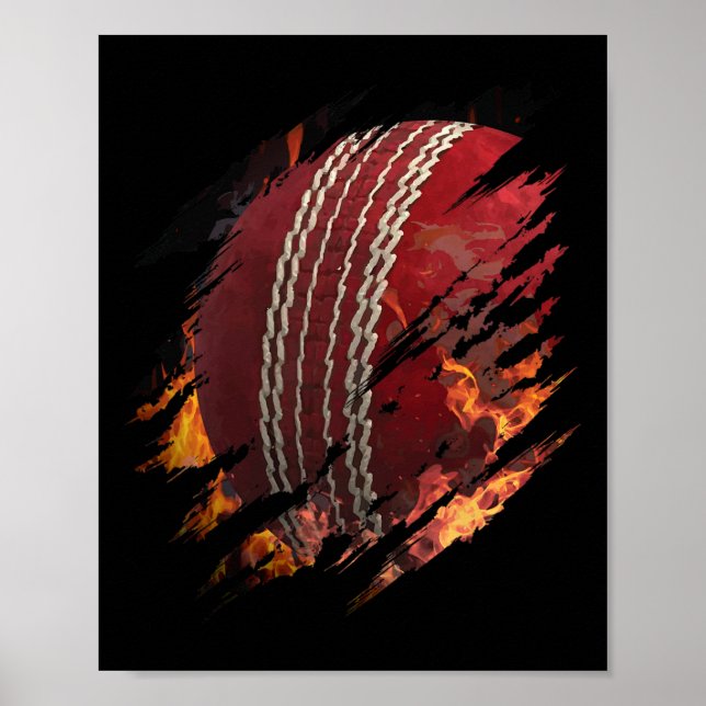 Cricket Ll In Flammen In Mir Fan Oder Tsman Spiele Poster (Vorne)