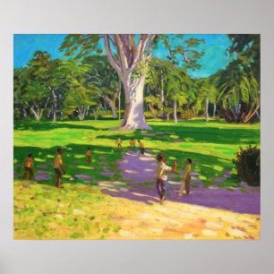 Cricket Match Botanischer Garten Dominica Poster