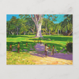 Cricket Match Botanischer Garten Dominica Postkarte