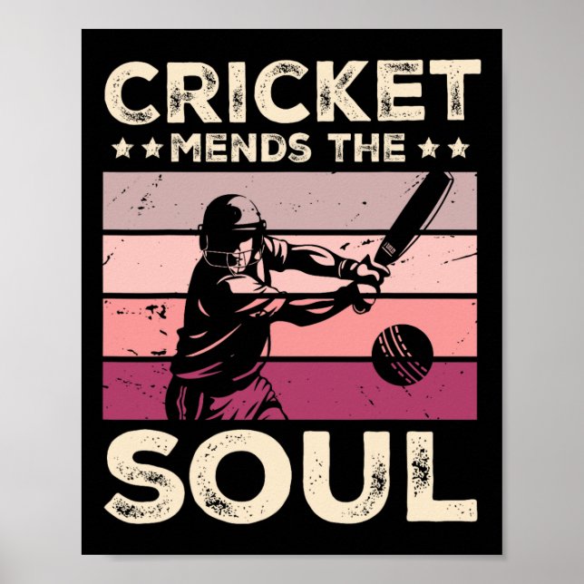 Cricket Mends The Soul  Poster (Vorne)