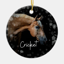 Cricket-Ornament
