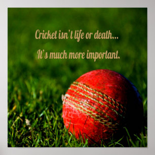 Cricket Red Ball Funny Motivierend Poster