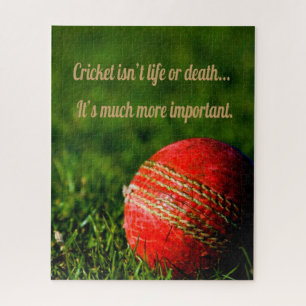 Cricket Red Ball Motivierend Puzzle
