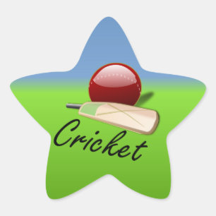 Cricket - Schläger und Ball am Grashorizon Stern-Aufkleber