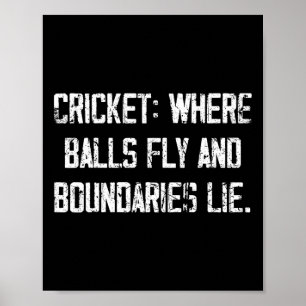 Cricket-Spaß fliegt und Grenzen lügen Comedy-Zitat Poster