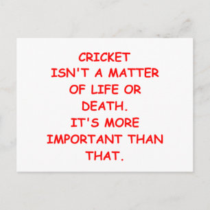 Cricket-Witz Postkarte