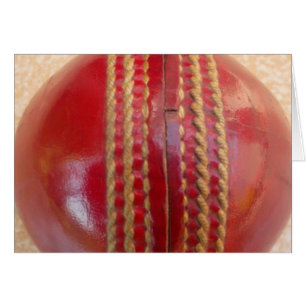 Cricketball