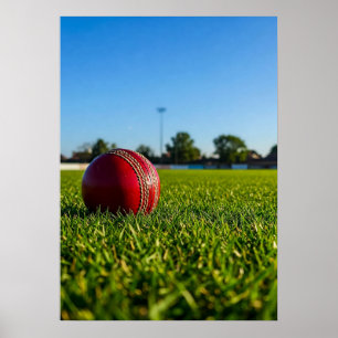 Cricketball auf der Grenzmarkierung Poster