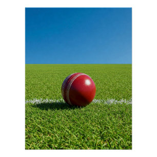 Cricketball auf Grenzmarkierung Poster
