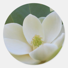 CricketDiane Süd Magnolias Runder Aufkleber